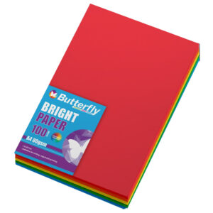 A4 Bright Paper Assorted100's  Sch155b