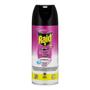 Raid 300ml D/purpose O/less Extra 122260