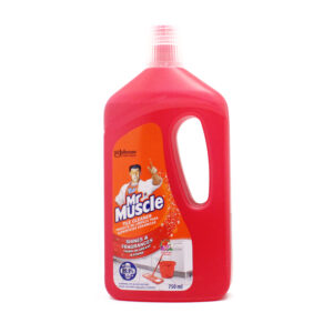 Mr Muscle T/clean 750ml Country [173270]