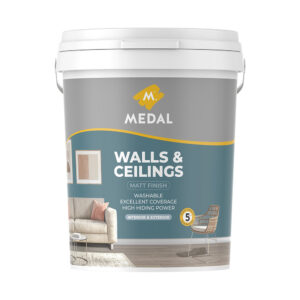 Md Walls & Ceilings 20l Ipentshisi