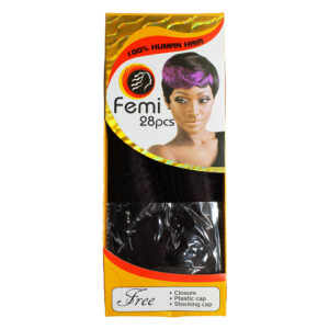 Femi 28pcs #99j